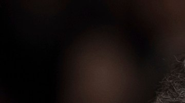 Mel Gibson expresa apoyo a Trump y se va contra Harris: "Un historial miserable"
