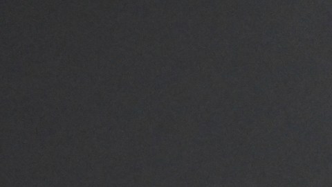 La cantautora y actriz Olivia Rodrigo.