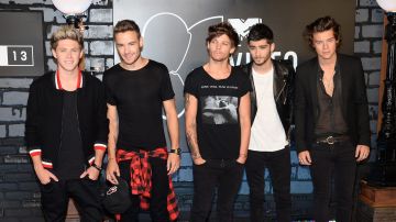 Miembros de One Direction posando.