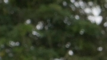 El ahora presidente de Panamá, José Raúl Mulino, habla con un migrante venezolano (izquierda) y otros migrantes en un campamento después de que cruzaron el Tapón del Darién desde Colombia, en Lajas Blancas, Panamá, el 28 de junio de 2024.