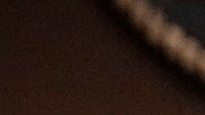 Funcionarios electorales de Georgia no podrán negarse a certificar resultados