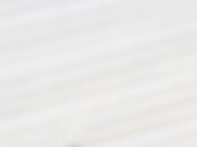 El romero tiene antioxidantes que ayudan a prevenir la oxidación celular causada por los radicales libres.