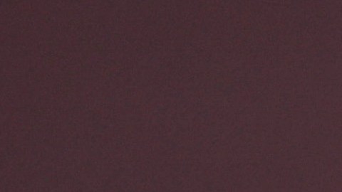 Roselyn Sánchez compartió la noticia en sus redes sociales.