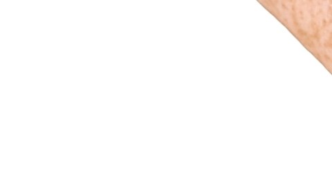 seguro-social-pagos-noviembre-2024