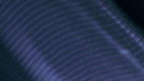 Hands,,Fist,And,Solidarity,With,A,Sports,Team,Standing,In