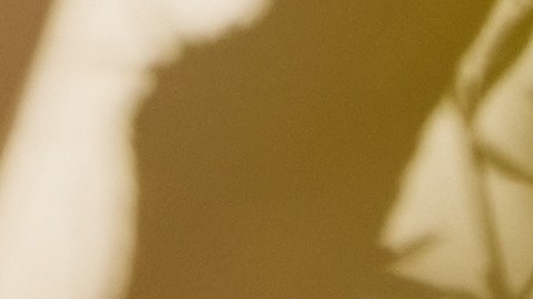 Desde hace más de una década, la organización comunitaria cumple con su misión de empoderar a las adolescentes latinas.