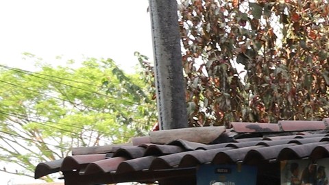 el 54,9% considera que proyecta una imagen "democrática"