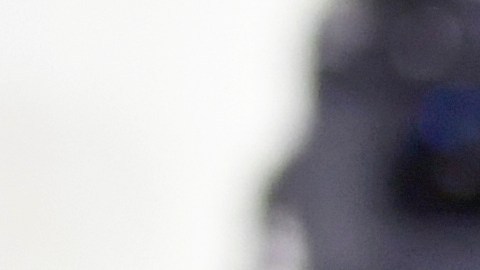 Gisele Bündchen y Tom Brady estuvieron casados durante 13 años y tuvieron dos hijos.