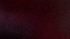 Trump y Harris hicieron mítines en Wisconsin.