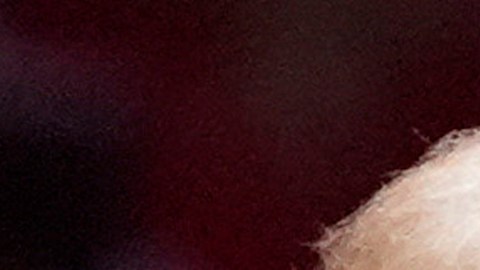 Trump y Harris hicieron mítines en Wisconsin.