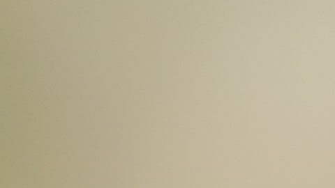 Los alimentos procesados, incluyendo los edulcorantes, pueden incidir en un aumento de niveles de azúcar en sangre.