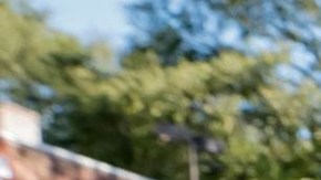 El voto anticipado en Georgia supera el millón y rompe récords