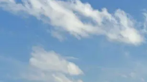 Gallagher fue hospitalizada, pero falleció a causa de sus heridas.