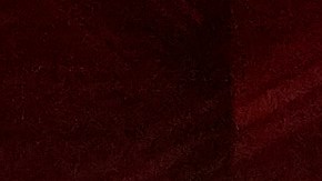 Una de las tradiciones navideñas de Nueva York arranca esta semana con toda su magia.