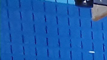 Votantes en Nueva York.