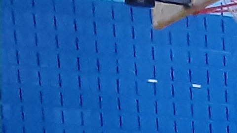 Votantes en Nueva York.