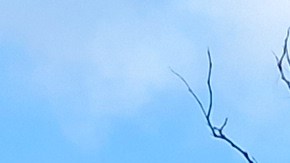 Se recomienda a los electores verificar en https://vote.nyc/ su centro de votación.