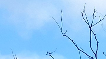 Se recomienda a los electores verificar en https://vote.nyc/ su centro de votación.