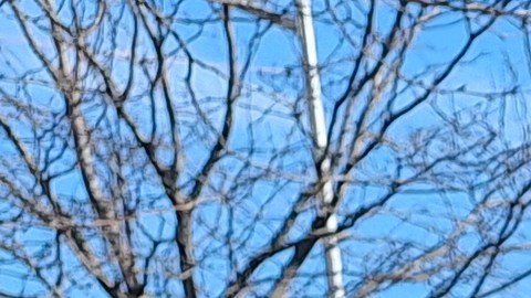 Residentes del complejo Carter G. Woodson de Brooklyn sienten un alivio.