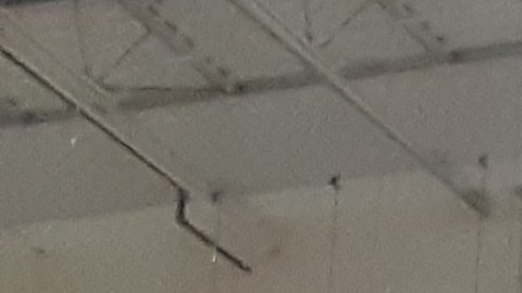 Macy's Thanksgiving Parade de Nueva York: tras bastidores en NJ 2024