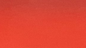 La celebración de Acción de Gracias redobla el espíritu de solidaridad de empresas privadas y organizaciones comunitarias y religiosas de la Gran Manzana.