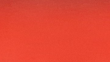 La celebración de Acción de Gracias redobla el espíritu de solidaridad de empresas privadas y organizaciones comunitarias y religiosas de la Gran Manzana.