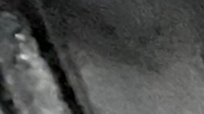 Reacciones encontradas ante plan del alcalde Adams para tratar a internos siquiátricos en cárceles