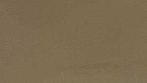 Autoridades neoyorquinas listas para garantizar seguridad en elecciones