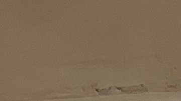 Autoridades neoyorquinas listas para garantizar seguridad en elecciones