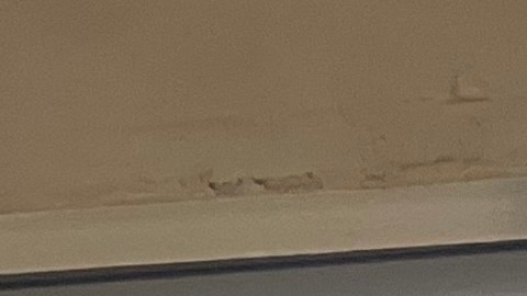 Autoridades neoyorquinas listas para garantizar seguridad en elecciones