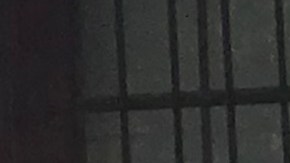 Autoridades escolares hacen llamado a la calma en la comunidad escolar tras elecciones