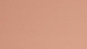 Dmitri Peskov dijo a los periodistas que nunca hubo una plática entre Putin y Trump.