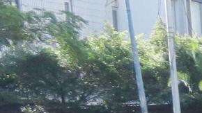 El Ministerio compartió que se registraron 109 bombardeos de aviación al mismo tiempo en diversas áreas del Líbano.