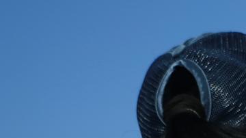 Migrantes en la frontera sur se reúnen con sus familiares