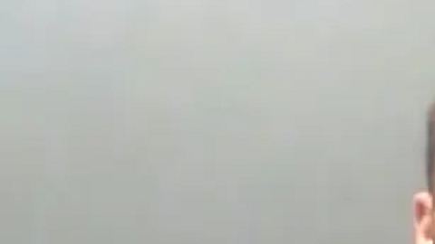 Los dueños de los perros negaron que los perros estaban en abandono.