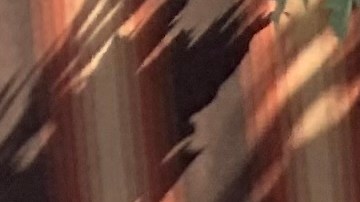 Los comedores puestos en las calles deben remover sus estructuras a más tardar este viernes