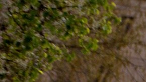 El informe dicta que en la cárcel del condado de Fulton los reos viven con plagas, roedores, sin atención médica y otras condiciones que ponen en riesgo su vida.