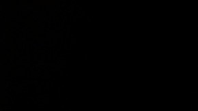 Mike DeWine firmó el proyecto de ley porque asegura que protegerán a los niños.