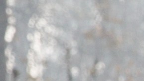 Gavin Newsom es uno de los críticos más feroces de Trump.