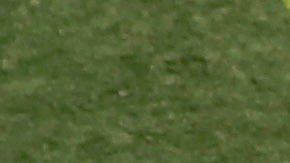 Logo de Alabama A&M University.