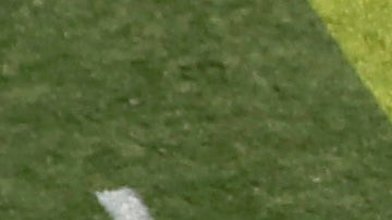 Logo de Alabama A&M University.