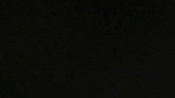 Elecciones en Puerto Rico/ Plebiscito criollo