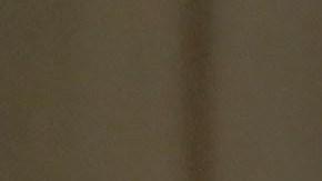 Whitaker ejerció como fiscal general interino entre 2018 y 2019.