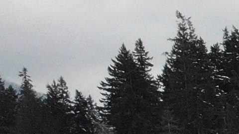Nieve en viviendas de Bellingham, Washington