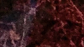 Los tres sospechosos están siendo buscado por la policía de Nueva York después que escaparon del lugar.