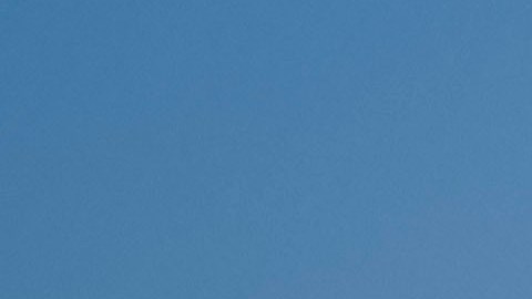 Los New York Yankees y los Tampa Bay Rays llegaron a un acuerdo para 2025.