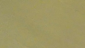 La ley fue impulsada por Mike Waltz y Debbie Wasserman Schultz.