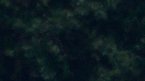 Un asistente de vuelo sufrió heridas leves y está siendo evaluado.