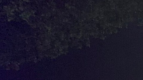 Se espera que las dos víctimas lesionadas se recuperen por completo, señaló la policía. No se ha realizado ninguna captura al respecto inmediatamente.