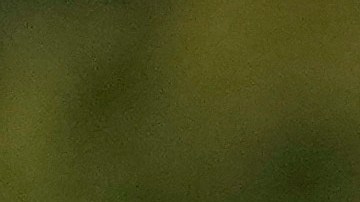 Los agentes pidieron el apoyo del INM para su traslado, su resguardo y ser valorados con el objetivo de determinar su estado de salud.